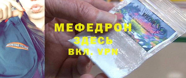 МДПВ Дмитриев