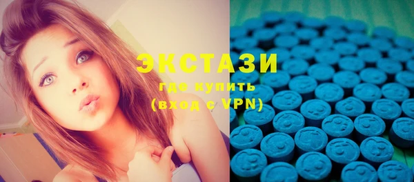 МДПВ Дмитриев