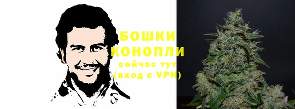 мдпв Дмитровск