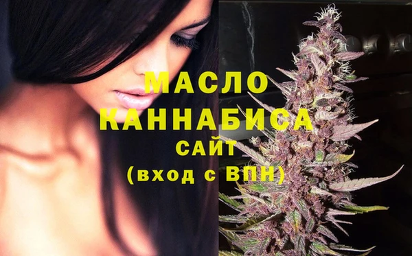 МДПВ Дмитриев