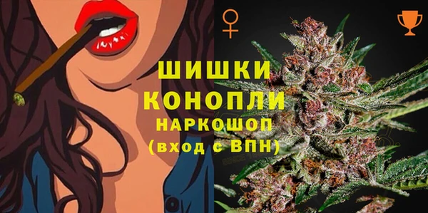 мдпв Дмитровск