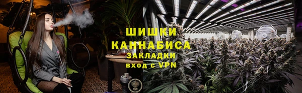 мдпв Дмитровск