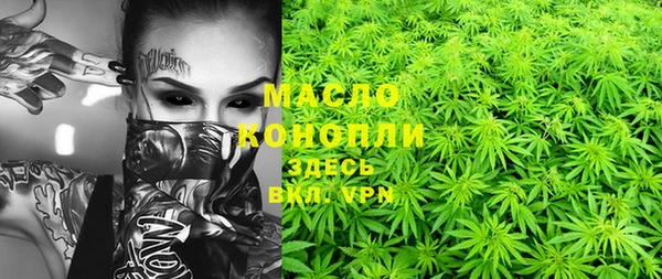 МДПВ Дмитриев