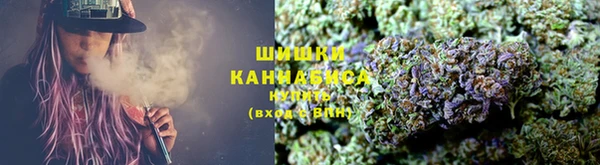 мдпв Дмитровск