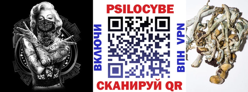 Галлюциногенные грибы Psilocybe купить закладку Кызыл