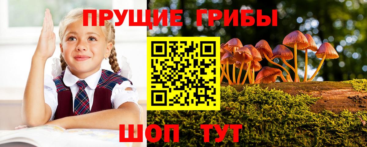 Псилоцибиновые грибы ЛСД Кызыл